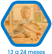 13 a 24 meses
